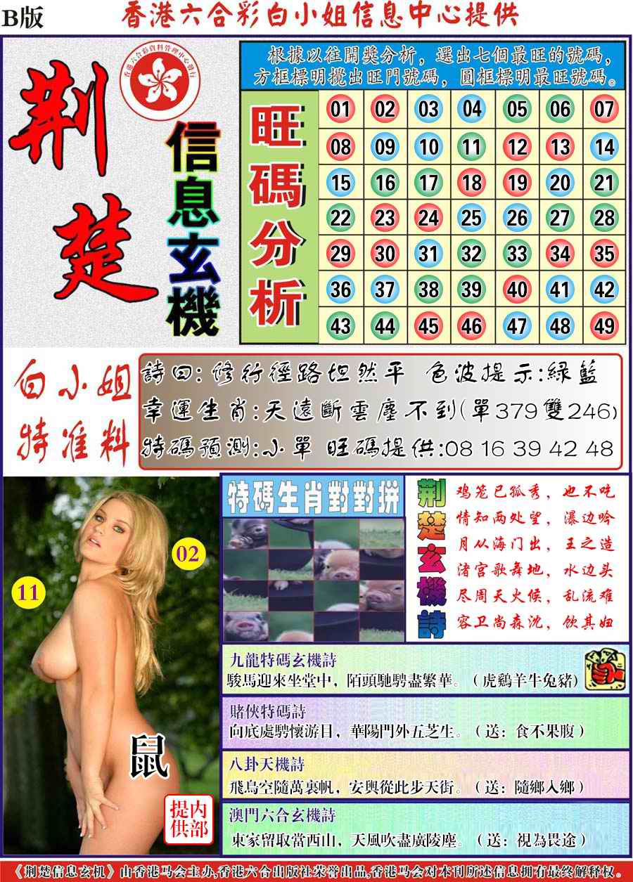 荆楚信息玄机B-94