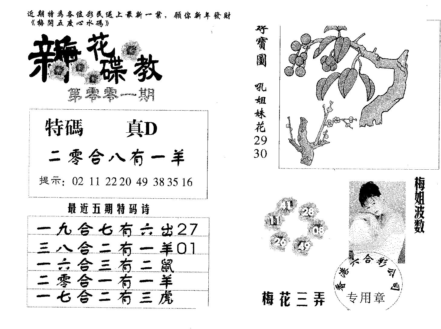 新花碟教-1